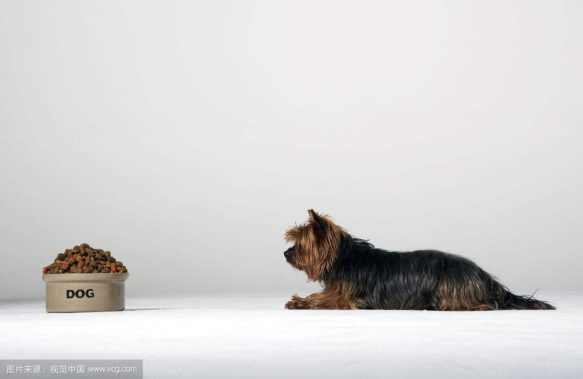 终南山活死人墓是什么意思?活死人墓在哪里?‘火狐电竞平台’(图1) 火狐电竞