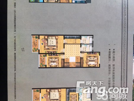 爆炸新闻:山东球迷无法接受足协对塔尔德利的处罚‘火狐电竞’(图1) 火狐电竞