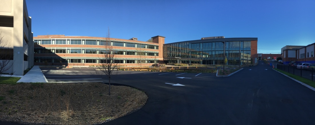 火狐电竞-南美洲的国家文化——苏里南(图4) 火狐电竞官网