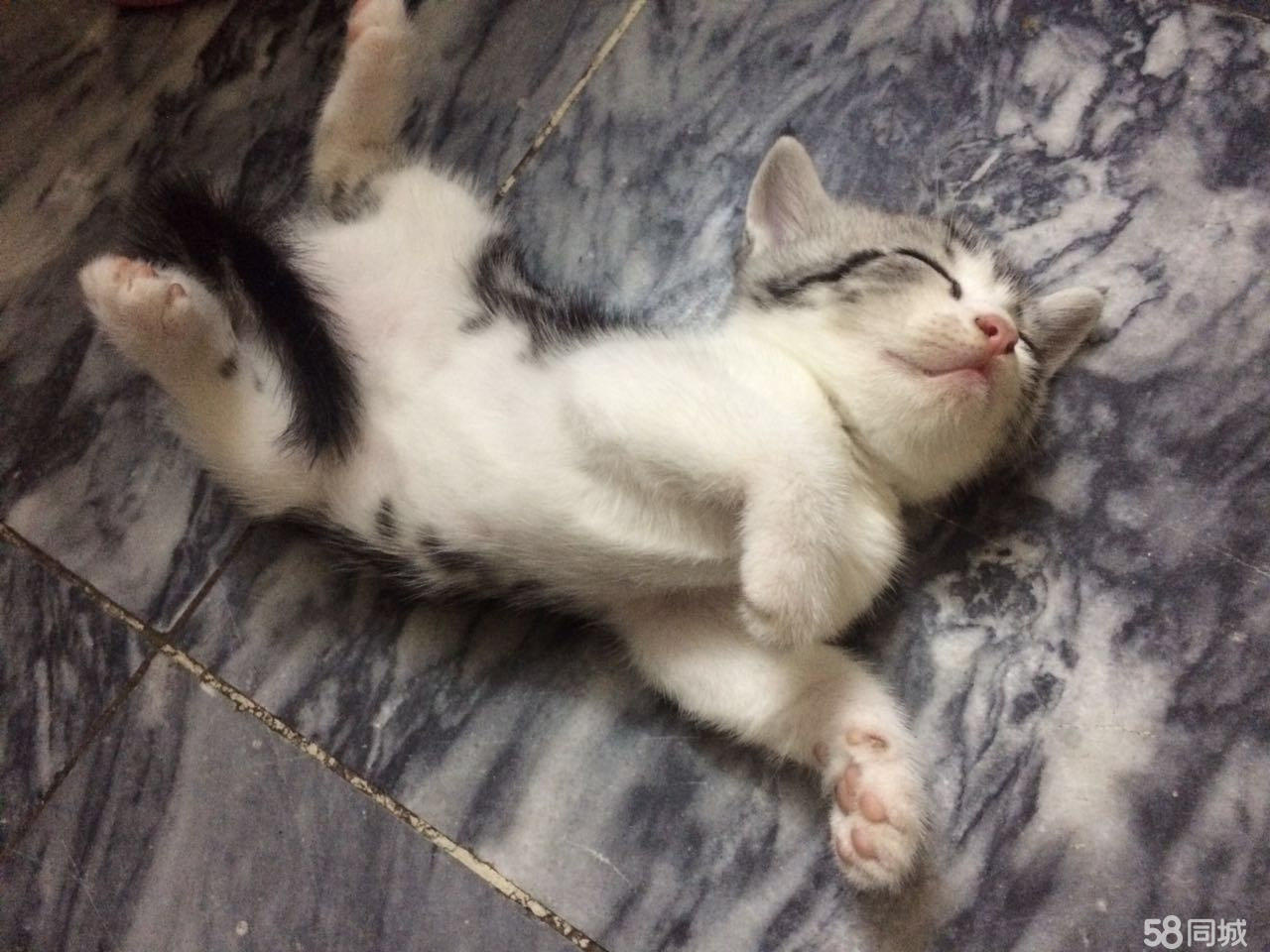 这几道美食你会做吗,很好吃,学习了【火狐电竞平台】(图2) 火狐电竞官网