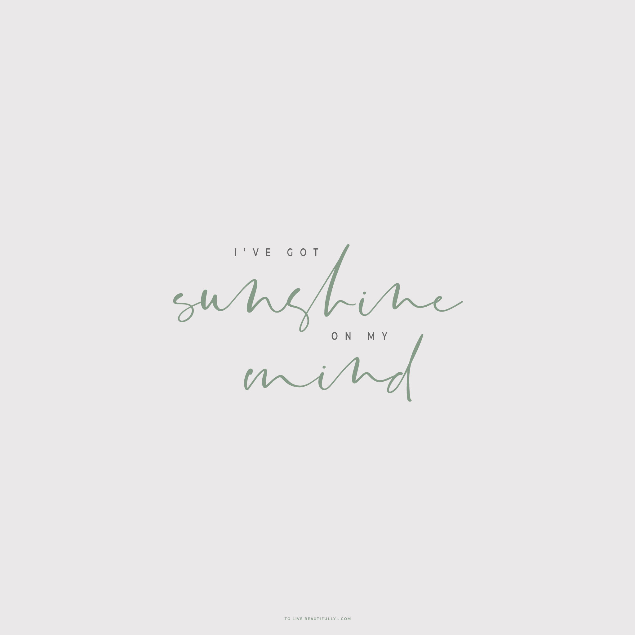 【火狐电竞平台】徐达为什么吃了烧鹅就死了(图1) 火狐电竞平台