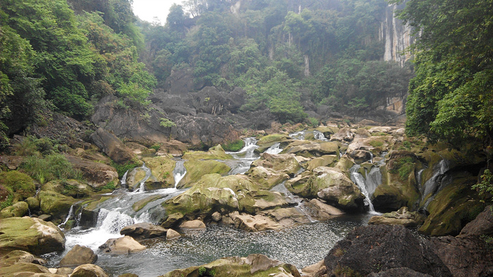 ‘火狐电竞’五香鹌鹑蛋的做法_五香鹌鹑蛋怎么做_老方小雨的菜谱(图2) 火狐电竞官网