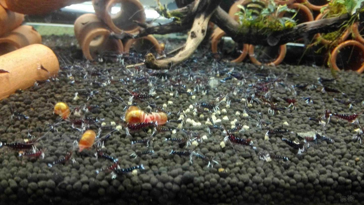 ‘火狐电竞平台’上港成中超最大夺冠热门 恒大第2国安仍压权健(图1) 火狐电竞