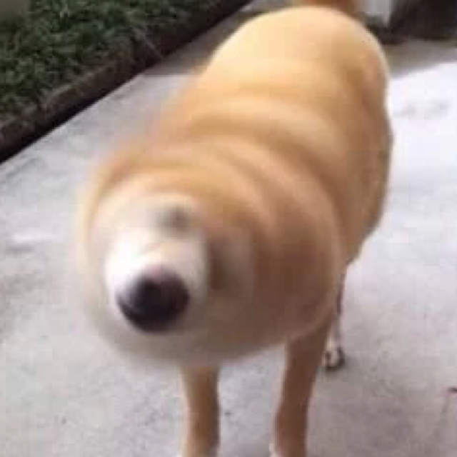 香港艺术品投资分期付款降低收藏门槛-火狐电竞(图3) 火狐电竞平台