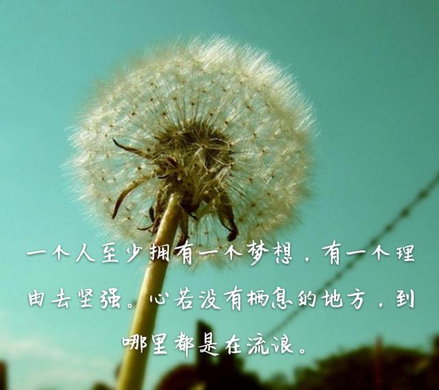 火狐电竞官网-原创 美食推荐:桃仁拌豆苗,鱼头霸道,火爆猪肝,干锅土豆片的做法(图2) 火狐电竞官网