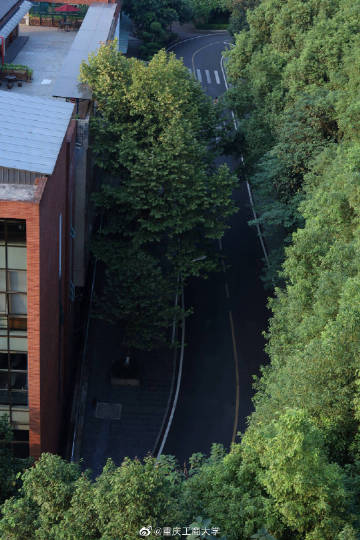 火狐电竞官网|本泽马或无机会重回国度队?(图4) 火狐电竞平台